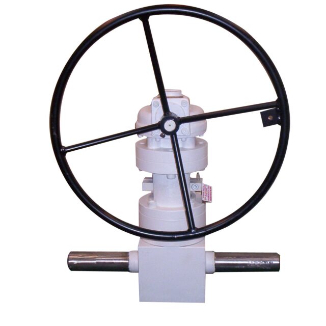 Globe valve for onshore applications